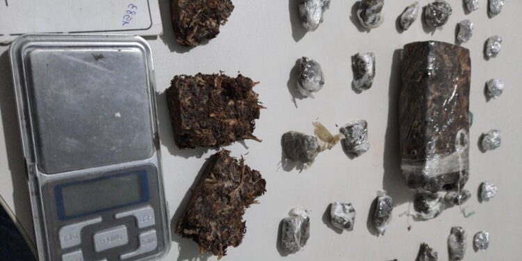 Polícia Civil prende mulher por tráfico de drogas em Tobias Barreto