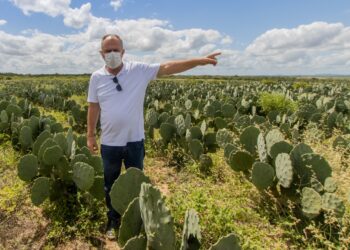 Governador visita projetos de estímulo à produção de leite em Poço Redondo