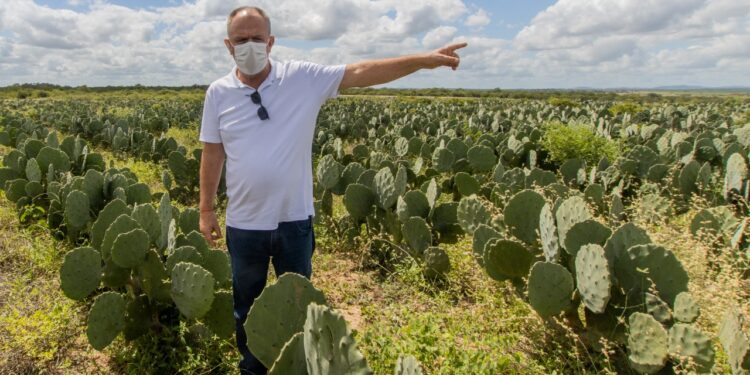 Governador visita projetos de estímulo à produção de leite em Poço Redondo