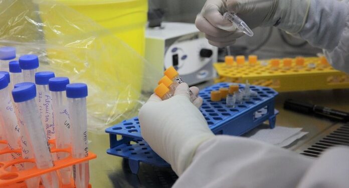 Sergipe registra 1.619 casos de Covid-19 e mais seis óbitos nesta sexta
