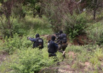 Polícia Civil encontra foragido de Carira em São Vicente (SP)