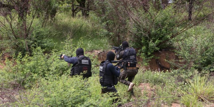 Polícia Civil encontra foragido de Carira em São Vicente (SP)