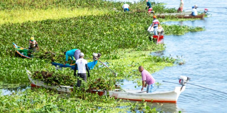 Prefeitura de Propriá realiza mutirão de limpeza às margens do Rio São Francisco