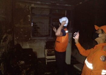 Bombeiros atenderam 36 ocorrências nas últimas 48 horas