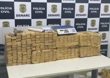 Polícia Civil apreende 200 quilos de maconha e prende três traficantes