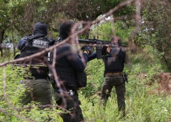 Operação Chavinha: Polícia deflagra operação de combate a grupo especializado em receptação de carga no Nordeste