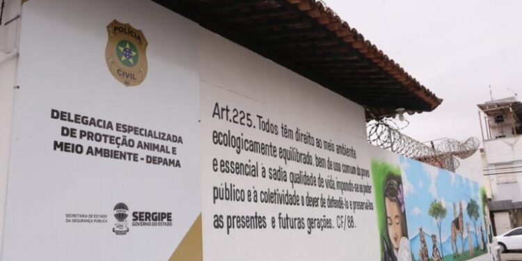 Polícia Civil prende mulher em flagrante por maus-tratos contra filhotes de cachorro em Aracaju