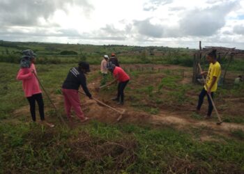 Produtores rurais de Aquidabã recebem sistemas de Produção Agroecológica Integrada e Sustentável