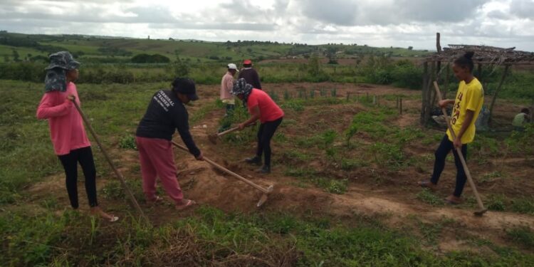 Produtores rurais de Aquidabã recebem sistemas de Produção Agroecológica Integrada e Sustentável
