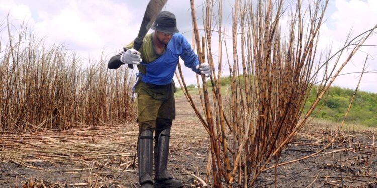 Governo entrega cartões a novos beneficiários do Mão Amiga Cana a partir desta segunda, 21