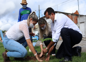 Semana do Meio Ambiente: Itabaiana realizou plantio de árvores na Praça Santa Clara