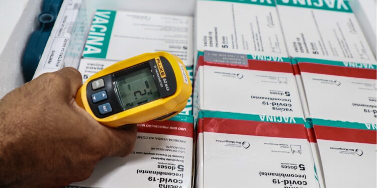 Sergipe recebe nova remessa do imunizante Pfizer nesta sexta-feira