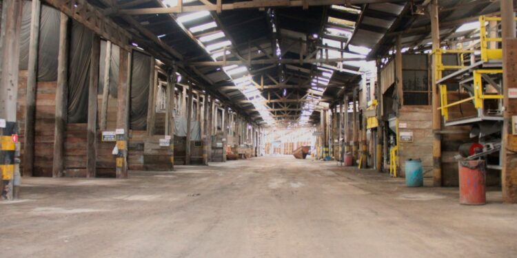 Heringer inicia produção em Sergipe