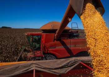 Conab estima colheita de 260,8 milhões de toneladas na safra 2020/2021