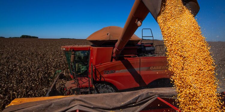 Conab estima colheita de 260,8 milhões de toneladas na safra 2020/2021