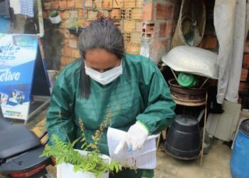 Combate às Endemias |Governo Municipal de Estância realiza bloqueio de criadouros do mosquito da dengue