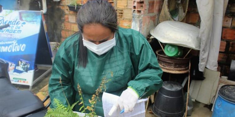 Combate às Endemias |Governo Municipal de Estância realiza bloqueio de criadouros do mosquito da dengue