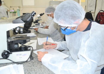 Lacen realiza capacitação para identificação do vetor Aedes Aegypti