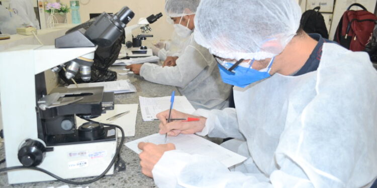 Lacen realiza capacitação para identificação do vetor Aedes Aegypti