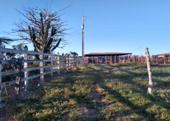 Produtores rurais devem atualizar cadastro para receber benefício da tarifa rural