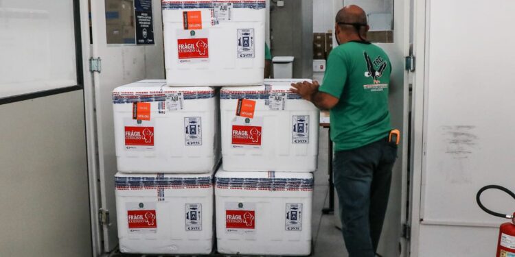Secretaria de Saúde envia aos municípios 95.620 doses de vacina contra a Covid-19
