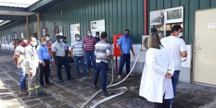 Profissionais da Maternidade Nossa Senhora de Lourdes participam de treinamento e testagem do sistema de prevenção de incêndios