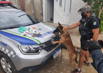 Polícia Militar prende duas mulheres suspeitas de comercializar drogas em residência no Parque dos Faróis
