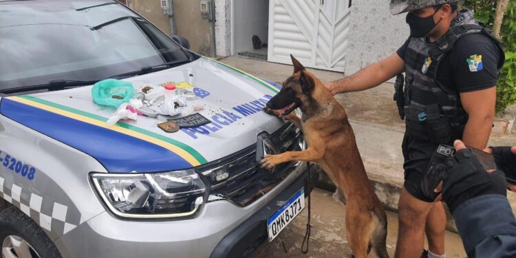 Polícia Militar prende duas mulheres suspeitas de comercializar drogas em residência no Parque dos Faróis