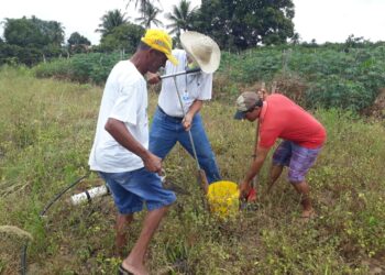 Emdagro e ITPS firmam parceria para análises de solo gratuitas em 28 municípios sergipanos