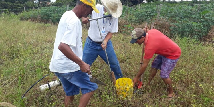 Emdagro e ITPS firmam parceria para análises de solo gratuitas em 28 municípios sergipanos