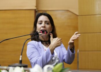 Emília destaca dificuldades dos defensores públicos federais e estaduais durante a pandemia