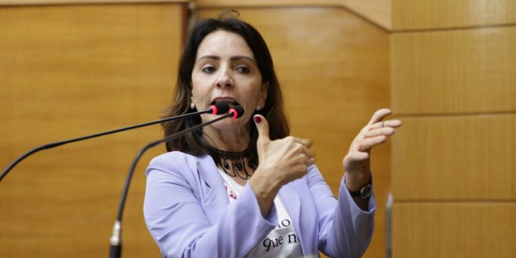 Emília destaca dificuldades dos defensores públicos federais e estaduais durante a pandemia