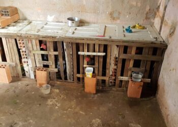 Polícia Civil flagra suspeito por crime de maus-tratos a animais em Carira