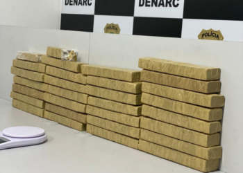 Denarc apreende 20kg de maconha escondida na casa de uma mulher na Grande Aracaju