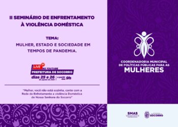 II Seminário de enfrentamento à violência doméstica: mulher, estado e sociedade em tempos de pandemia