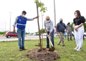 Edvaldo: com o plantio destas 3.500 mudas, avançamos na construção de uma cidade mais sustentável