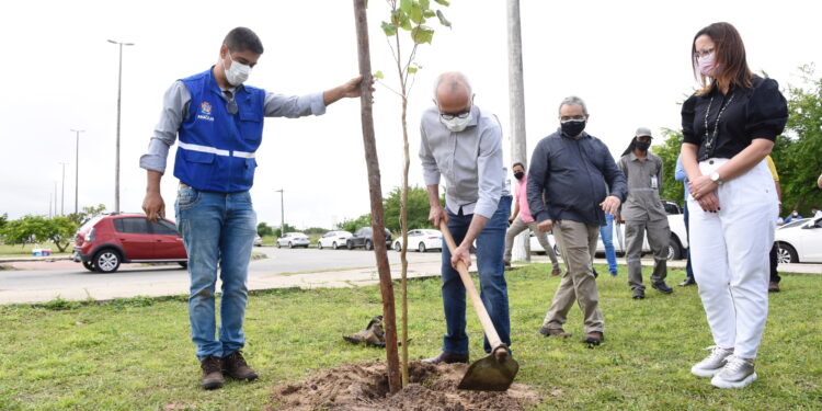 Edvaldo: com o plantio destas 3.500 mudas, avançamos na construção de uma cidade mais sustentável