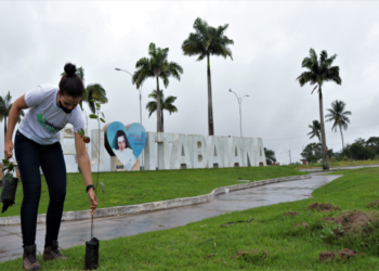 Itabaiana Mais Verde: 46 árvores são plantadas na Praça Villa Lobos e nas rotatórias do Chira Lubich