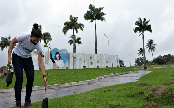 Itabaiana Mais Verde: 46 árvores são plantadas na Praça Villa Lobos e nas rotatórias do Chira Lubich