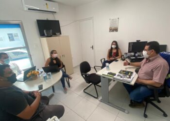 Energisa orienta sobre poda de árvores para evitar acidentes