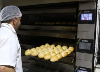 Termina amanhã prazo para microempreendedores regularizarem dívidas