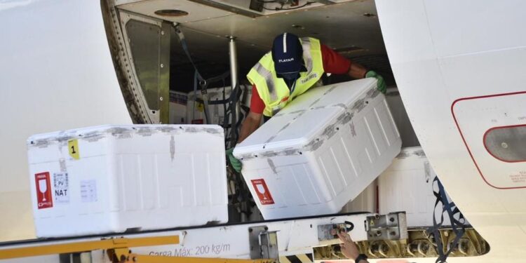 SES diz que Sergipe vai receber mais de 41 mil doses de vacina contra a Covid-19
