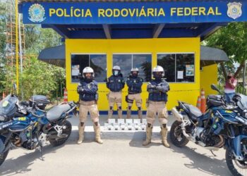 Operação da PRF apreende carga de droga avaliada em mais de um milhão de Reais