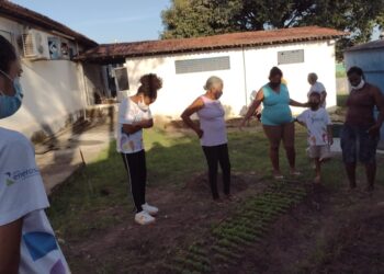 Instituto Banese implementa horta comunitária no Santa Maria