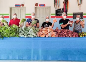 Salgado é contemplado com Programa de Aquisição de Alimentos