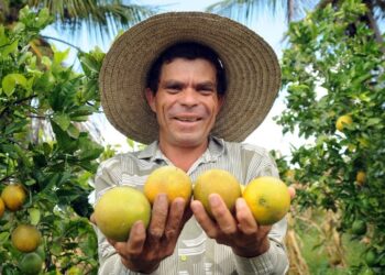 Governo do Estado investe na geração de renda no campo por meio do incentivo a produtores e cultivos locais