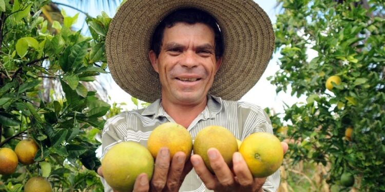 Governo do Estado investe na geração de renda no campo por meio do incentivo a produtores e cultivos locais