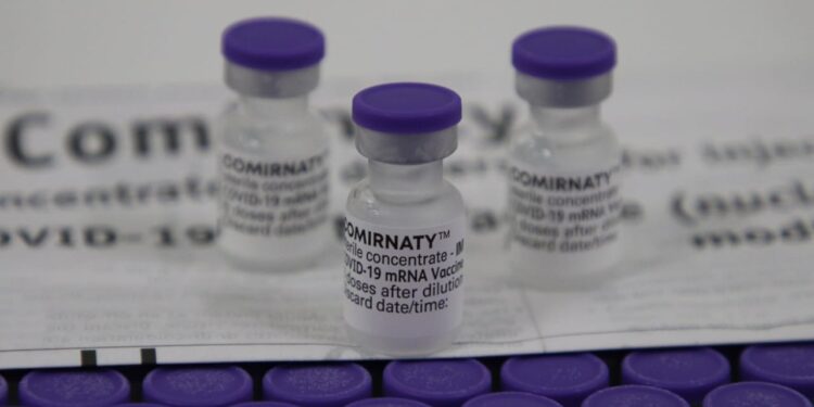 A semana começa com o recebimento de mais de 53 mil doses de vacinas