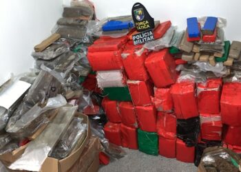 PM apreende mais de uma tonelada de drogas na zona de expansão de Aracaju