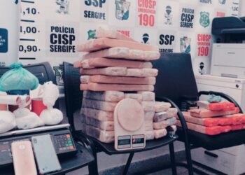 Ação conjunta apreende 37kg de maconha enterrados em casa na Barra dos Coqueiros
